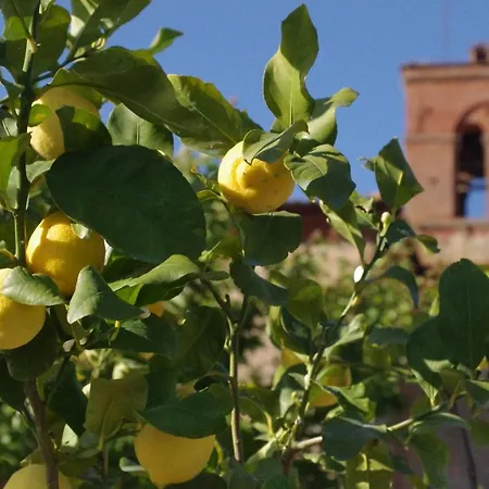 Farma Monastero Sant'anna In Camprena