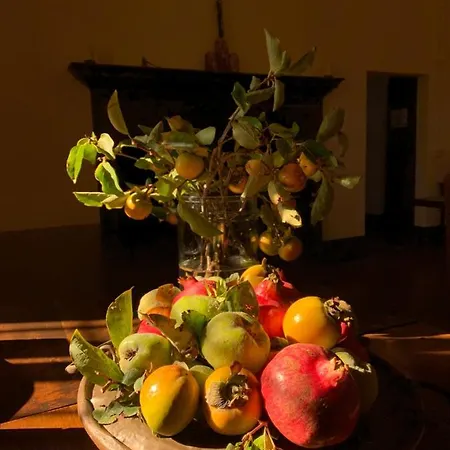 Monastero Sant'anna In Camprena * Pienza