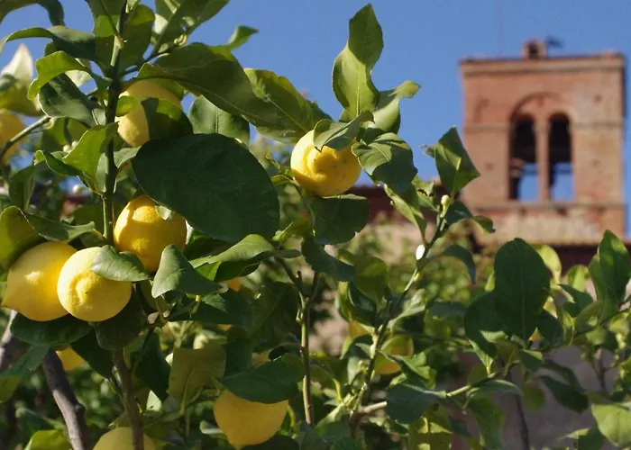 בית חווה Monastero Sant'anna In Camprena