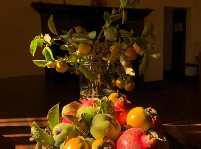 Monastero Sant'anna In Camprena * פיינצה